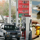 Illustration for article titled Fill Your Biodiesel Gas Tank With Alligator Fat